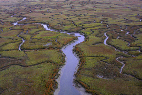 Little St. Simons and St. Simons Islands